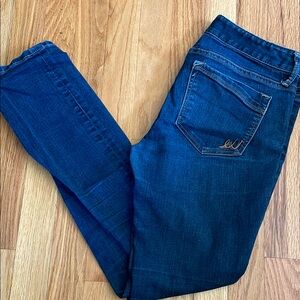 Express Dark Blue Skinny Jeans